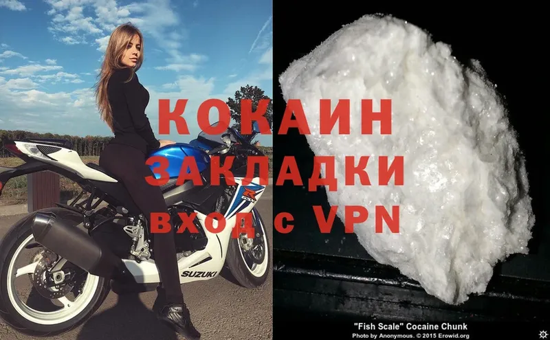 COCAIN Fish Scale  Сатка 