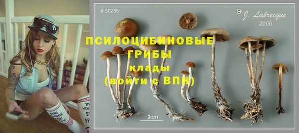 мефедрон Новодвинск
