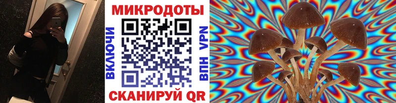 Псилоцибиновые грибы прущие грибы  наркота  Сатка 
